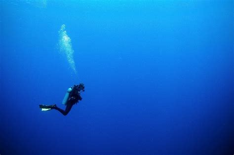 A Deep Dive into the Magical Waters of the Game .